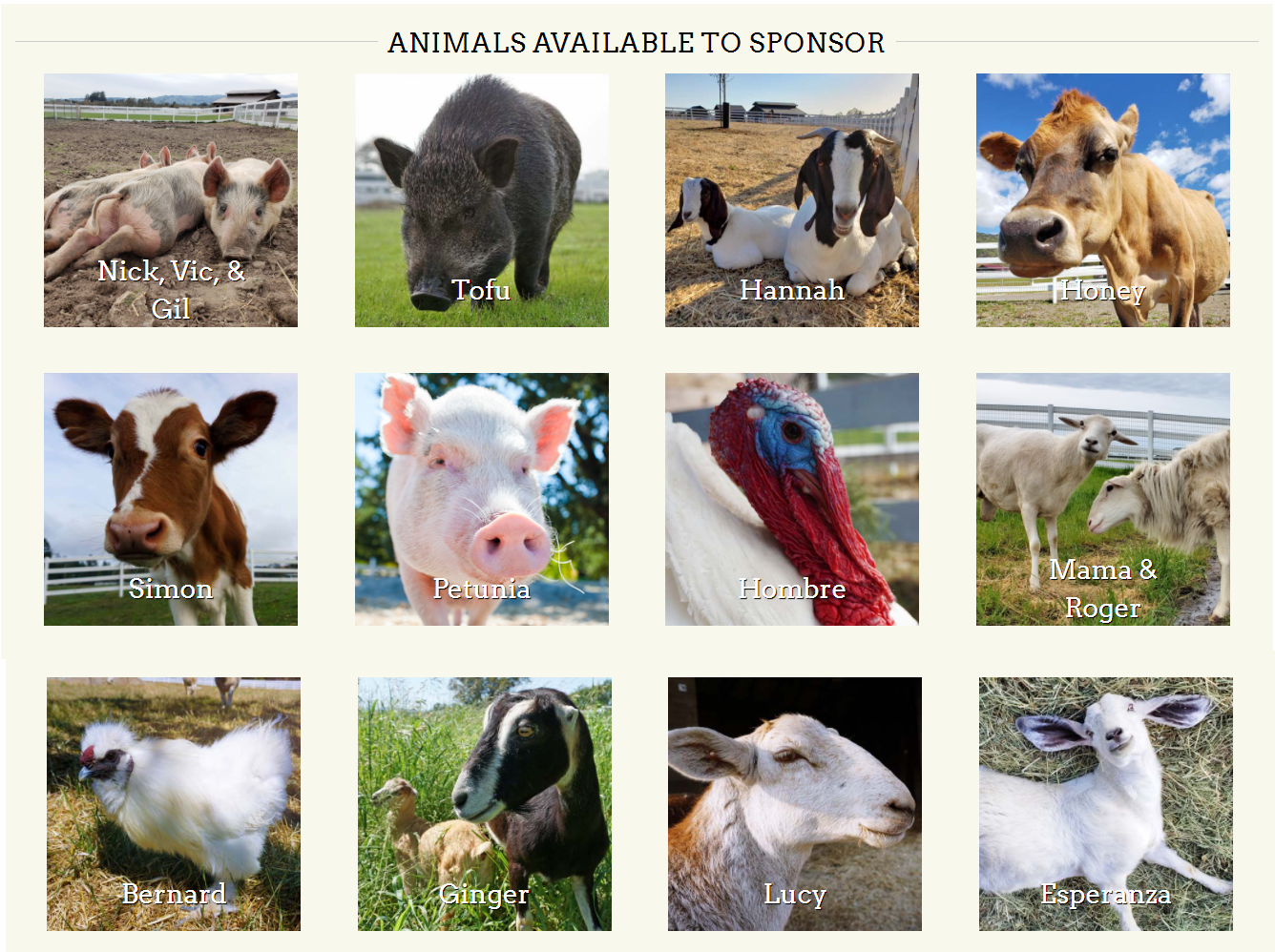 animals available to sponsor