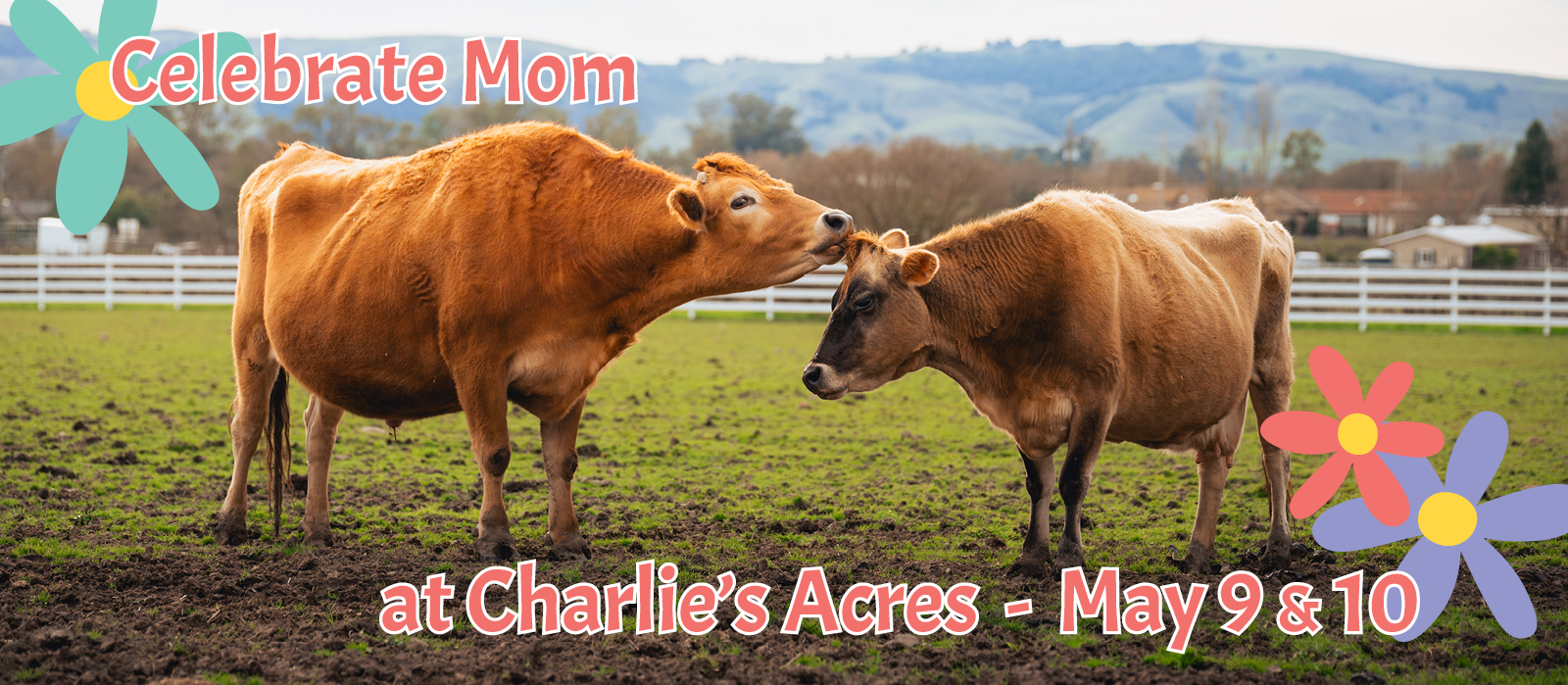 charlie's acres