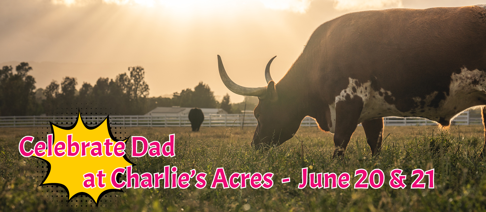 charlie's acres